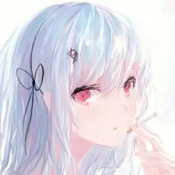 会员南瓜灯的头像